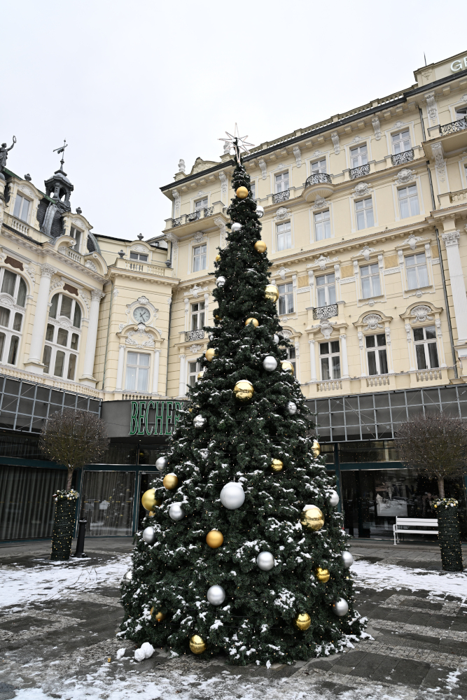 Christmass tree Grandhotel Pupp.