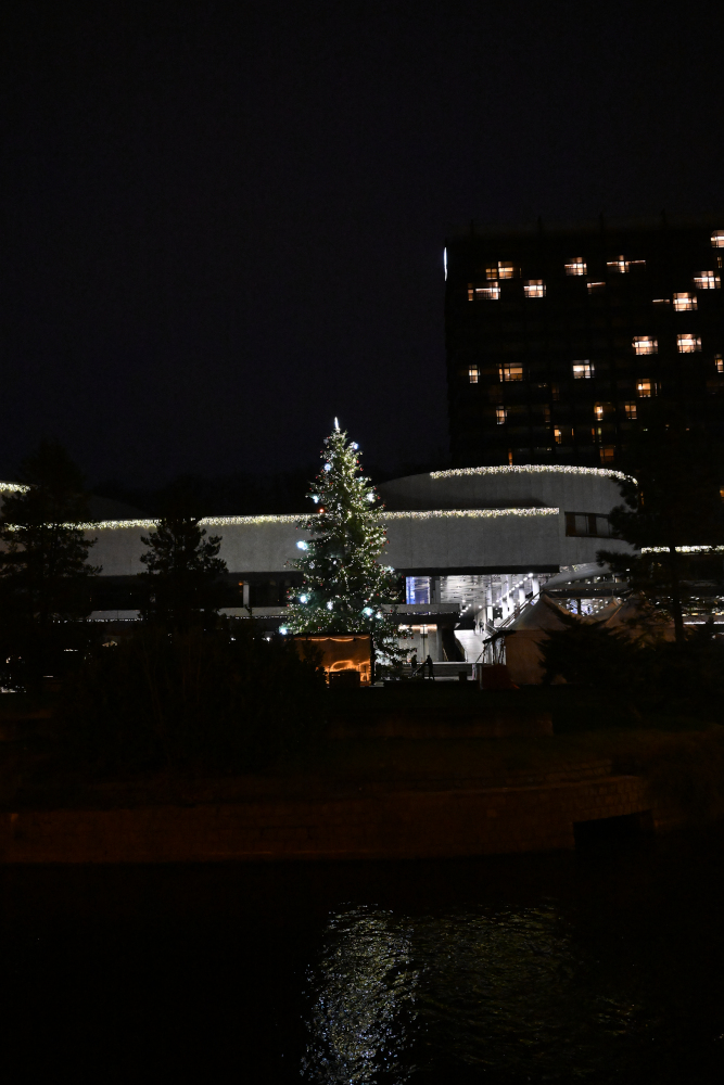 Christmass tree in Karlovy Vary at night.