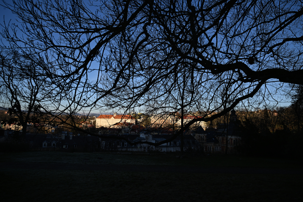 Branches and city Karlovy Vary.