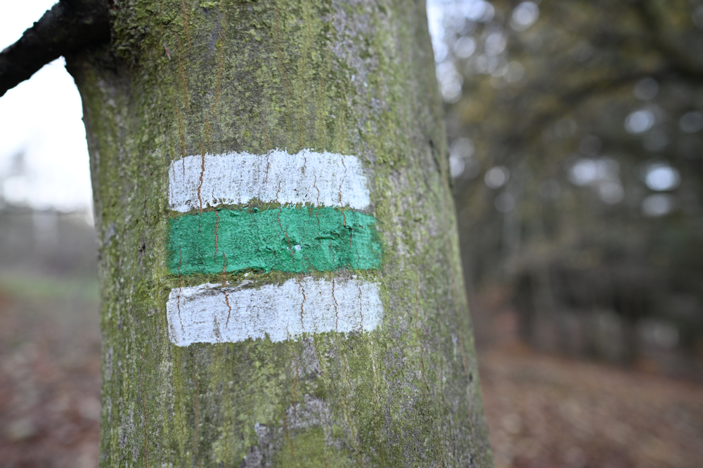 Green sign.