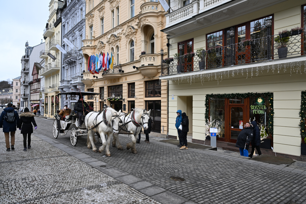 Horses in Karlovy Vary.