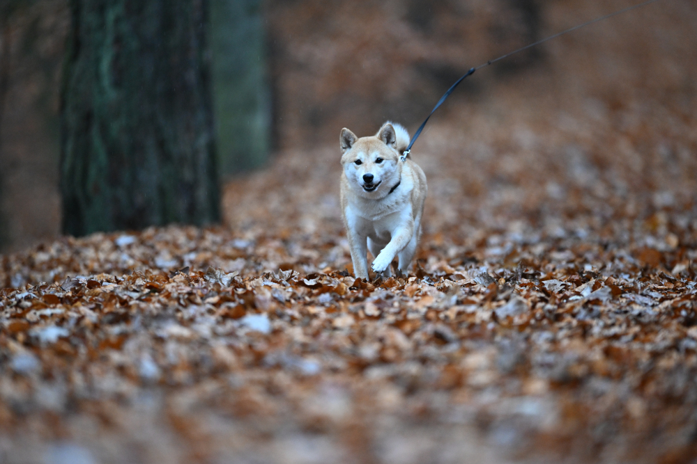 Running