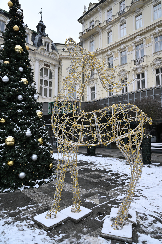 Statue of deer in front of Pupp.