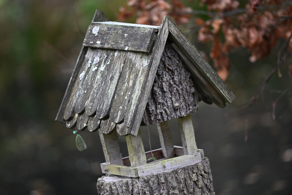 Wooden feeder in forest Karlovy Vary.